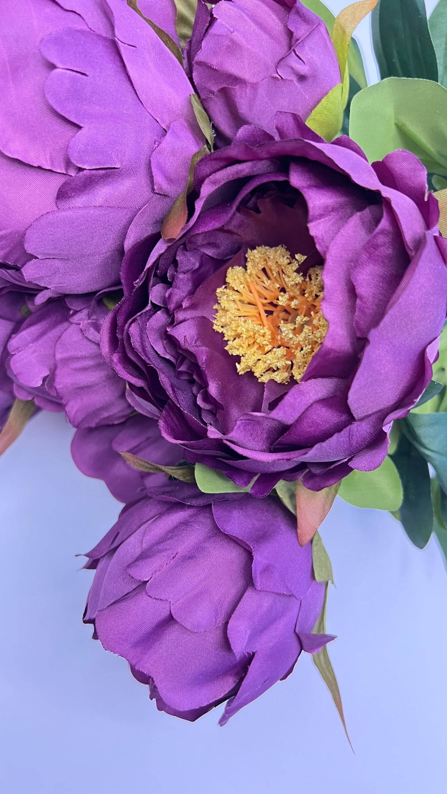 Peony Bush- Purple