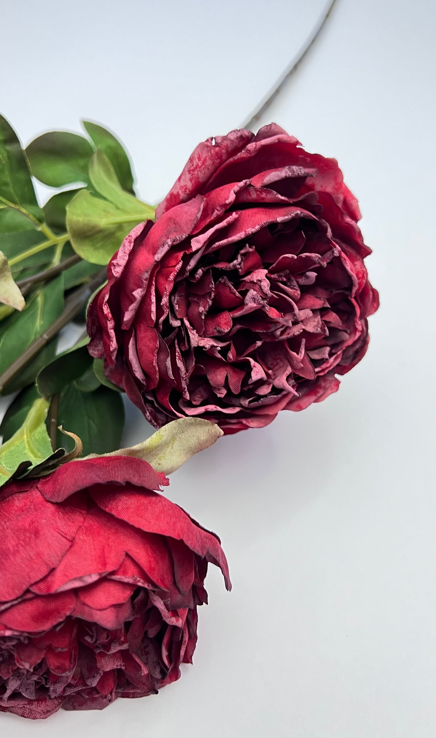 Dried Peony Spray- Deep Red