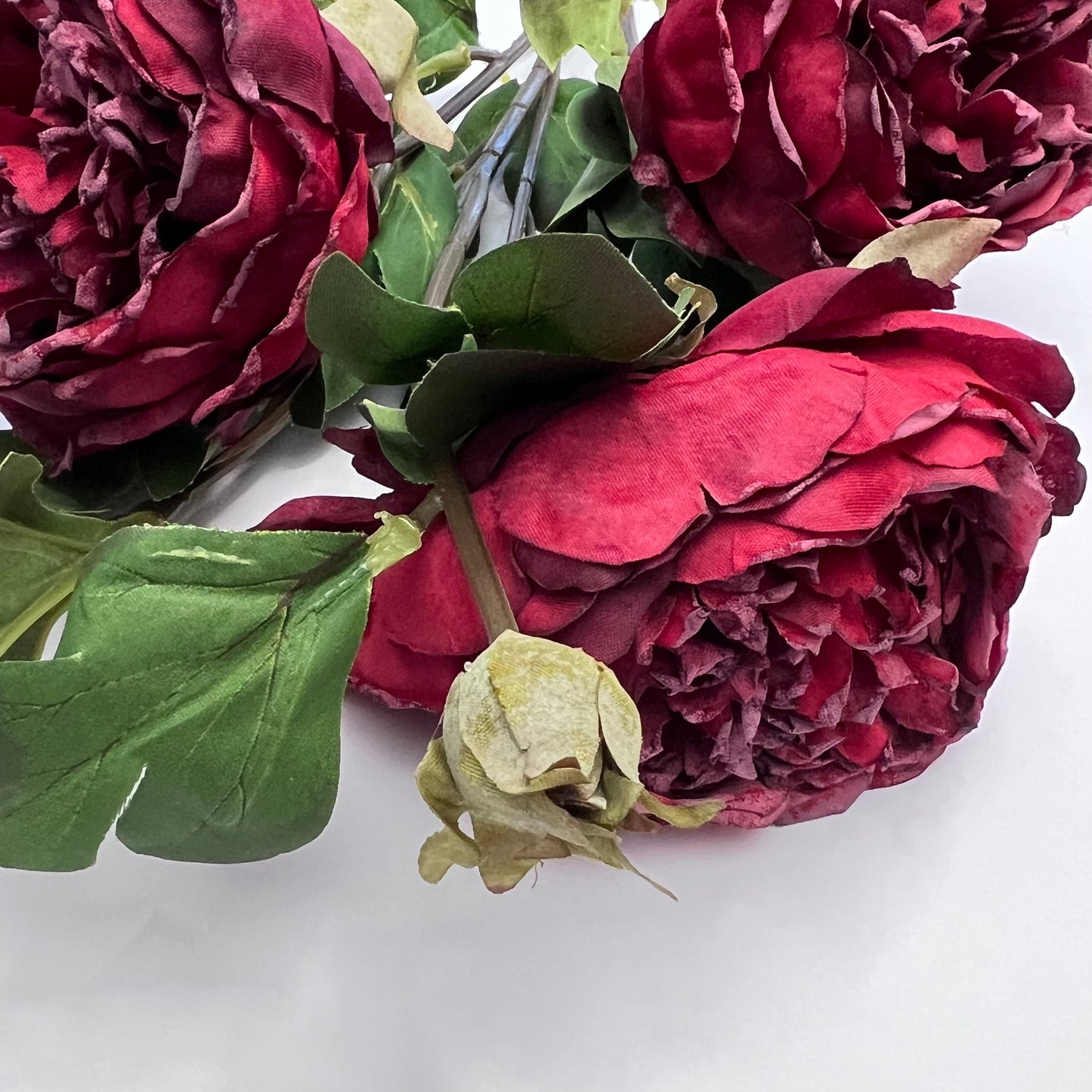 Dried Peony Spray- Deep Red