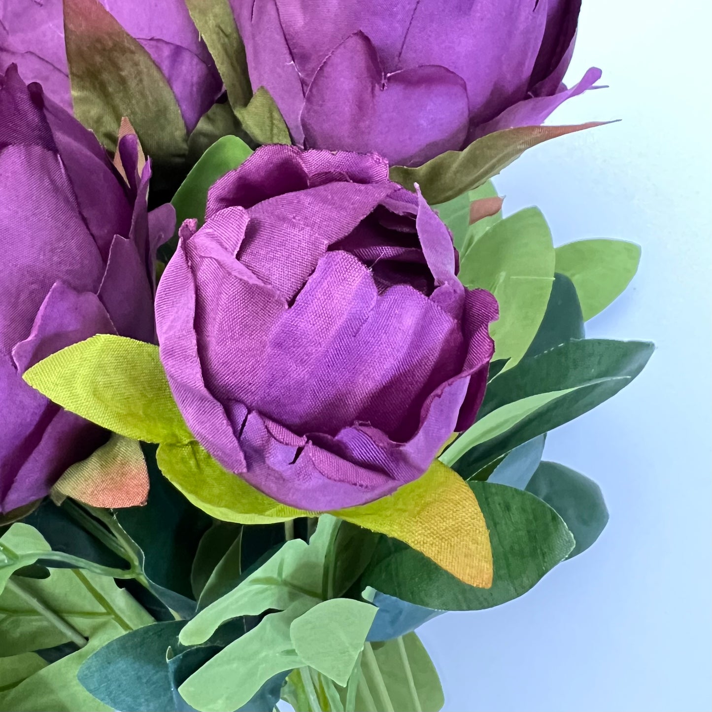 Peony Bush- Purple