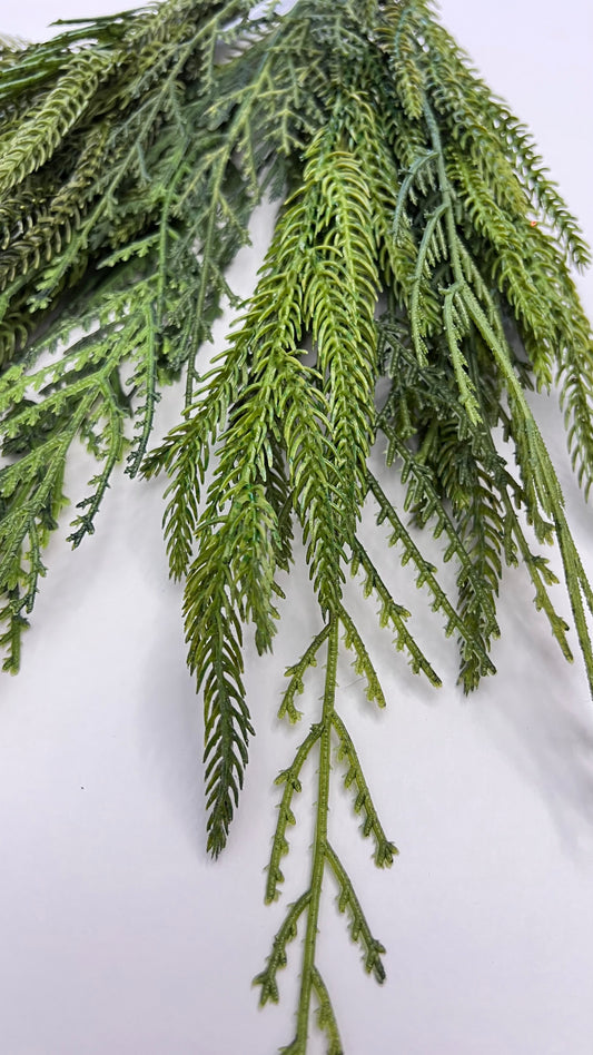 Norfolk Pine and Cedar Bundle- Soft Touch