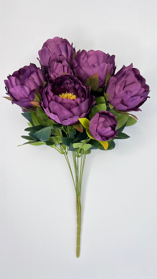 Peony Bush- Purple