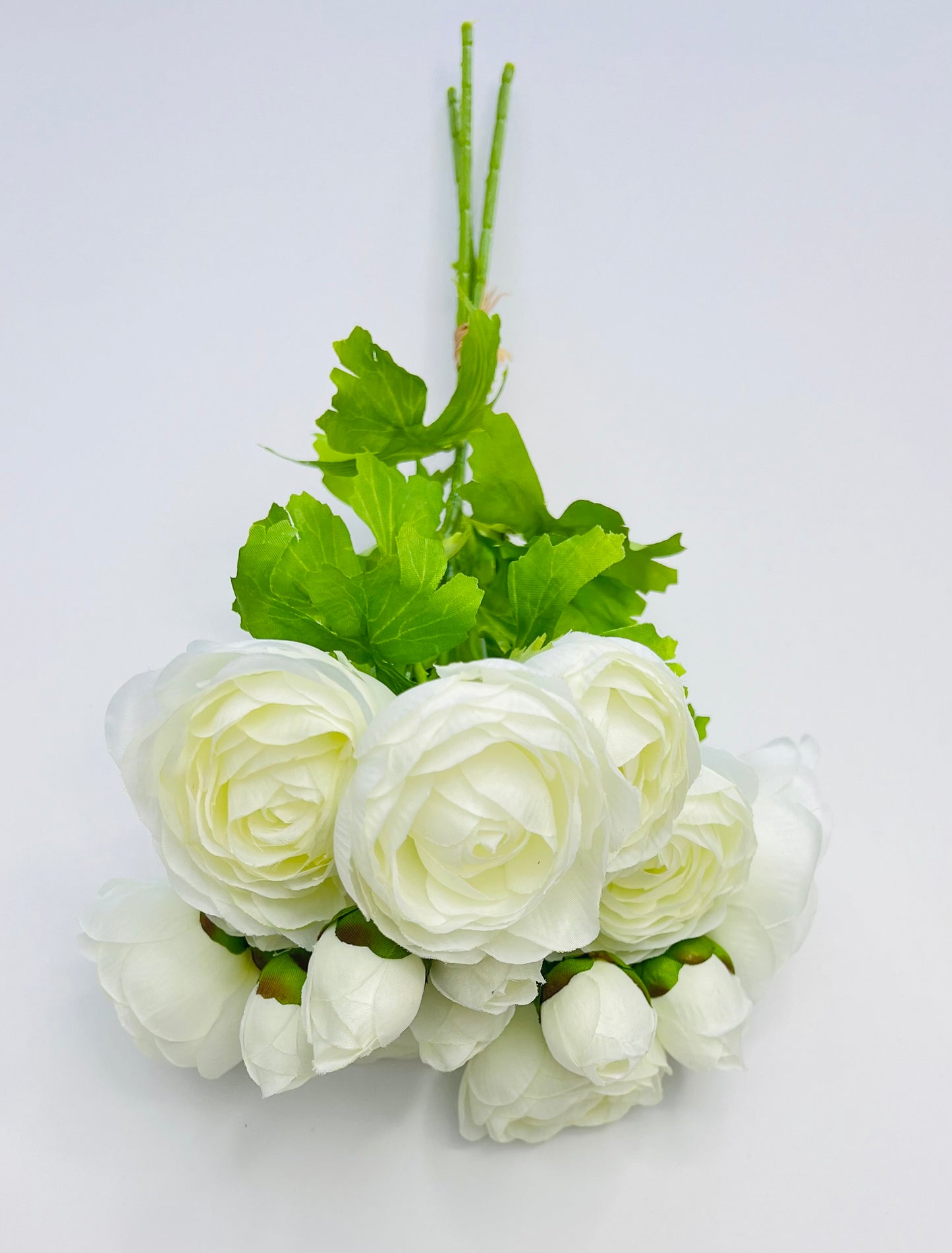 Ranunculus Bundle- White