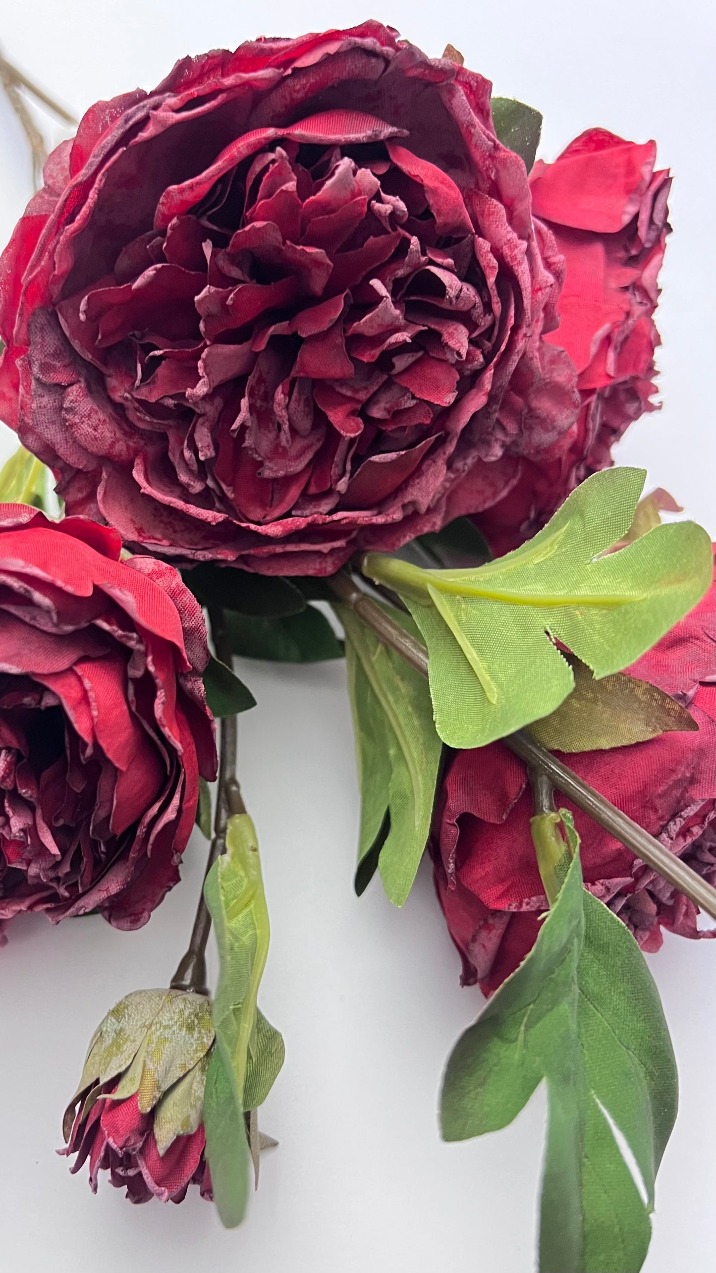 Dried Peony Spray- Deep Red