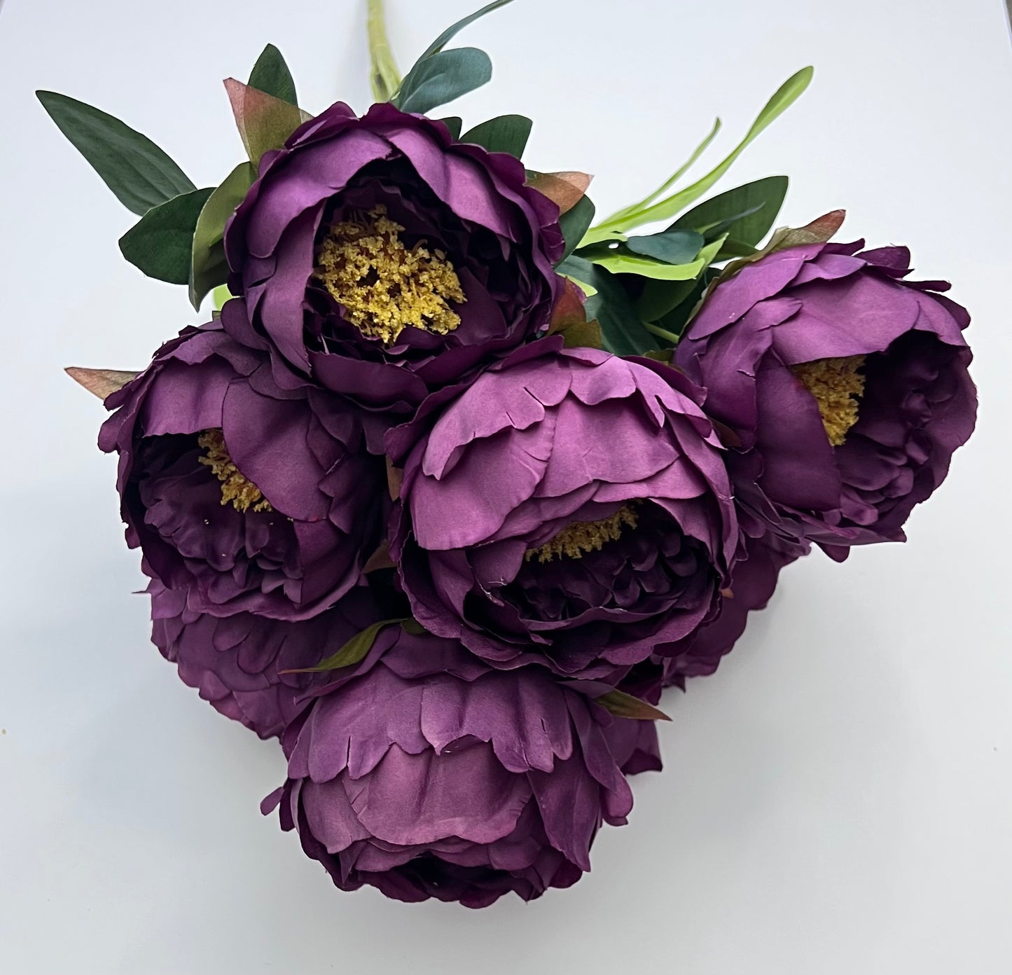 Peony Bush- Purple