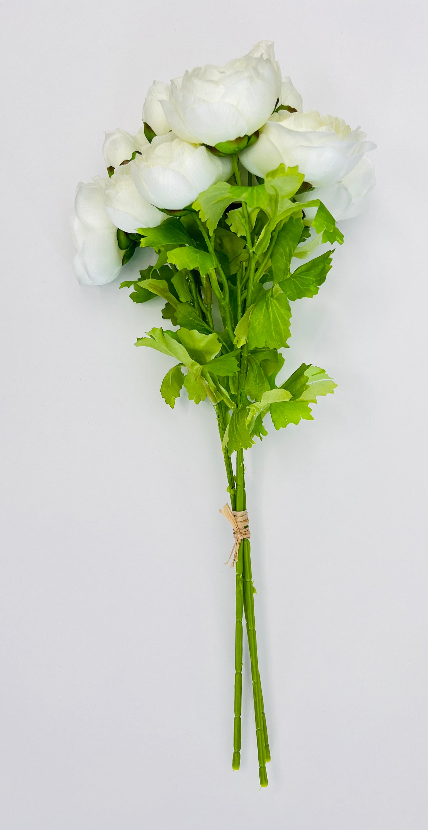 Ranunculus Bundle- White