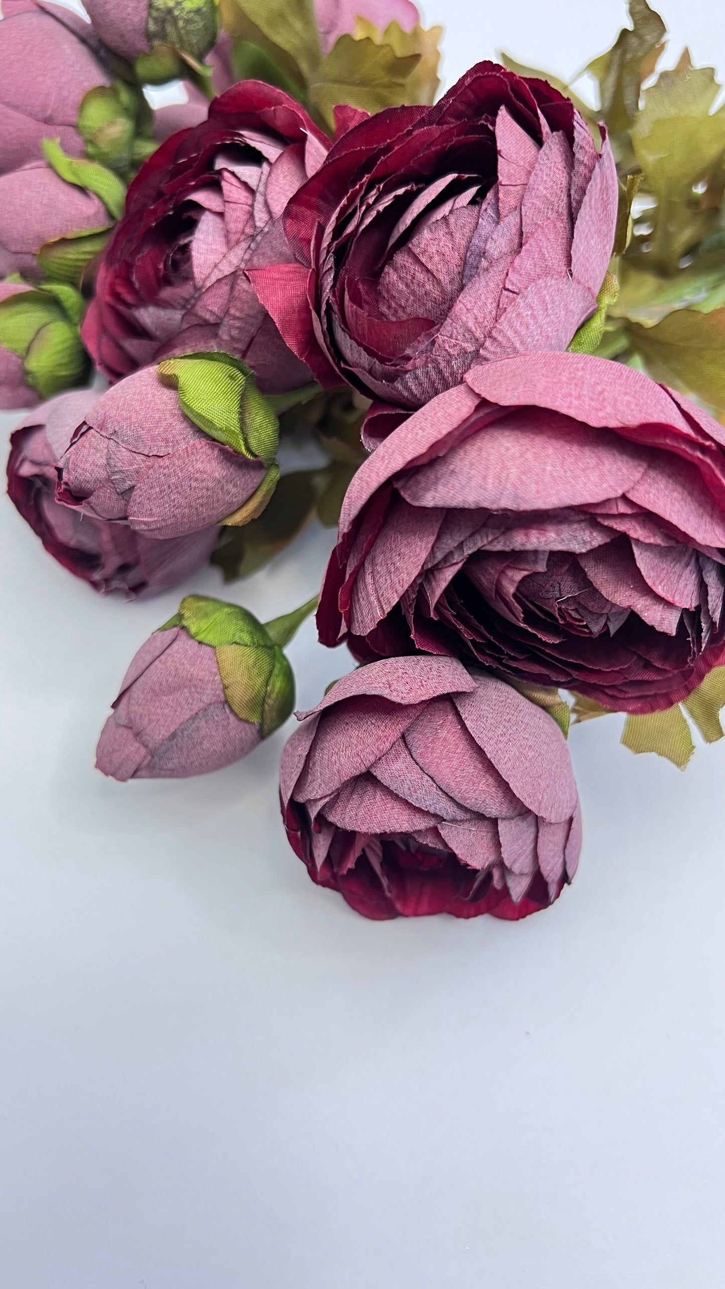 Ranunculus Bundle- Burgundy