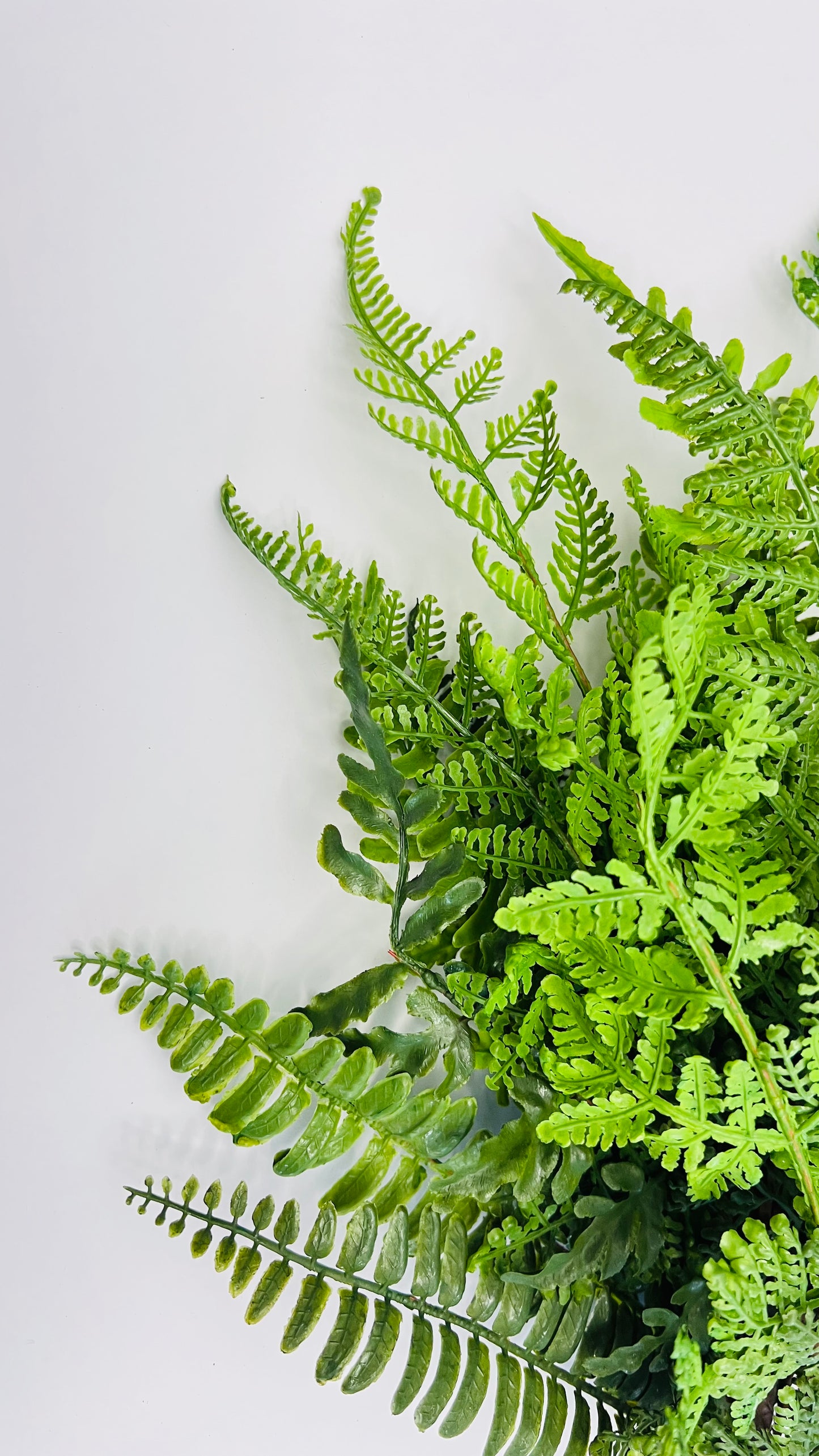 Mixed Fern Bush- Real Touch