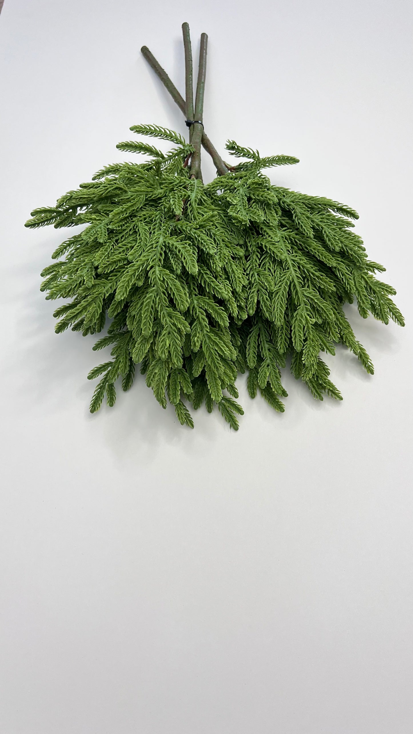 Norfolk Fir Bundle- Green