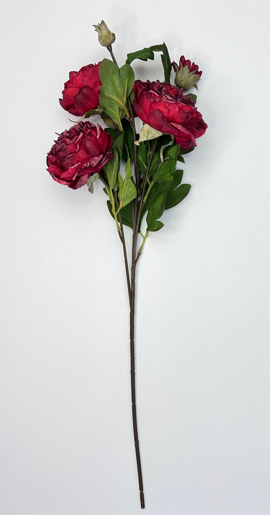 Dried Peony Spray- Deep Red