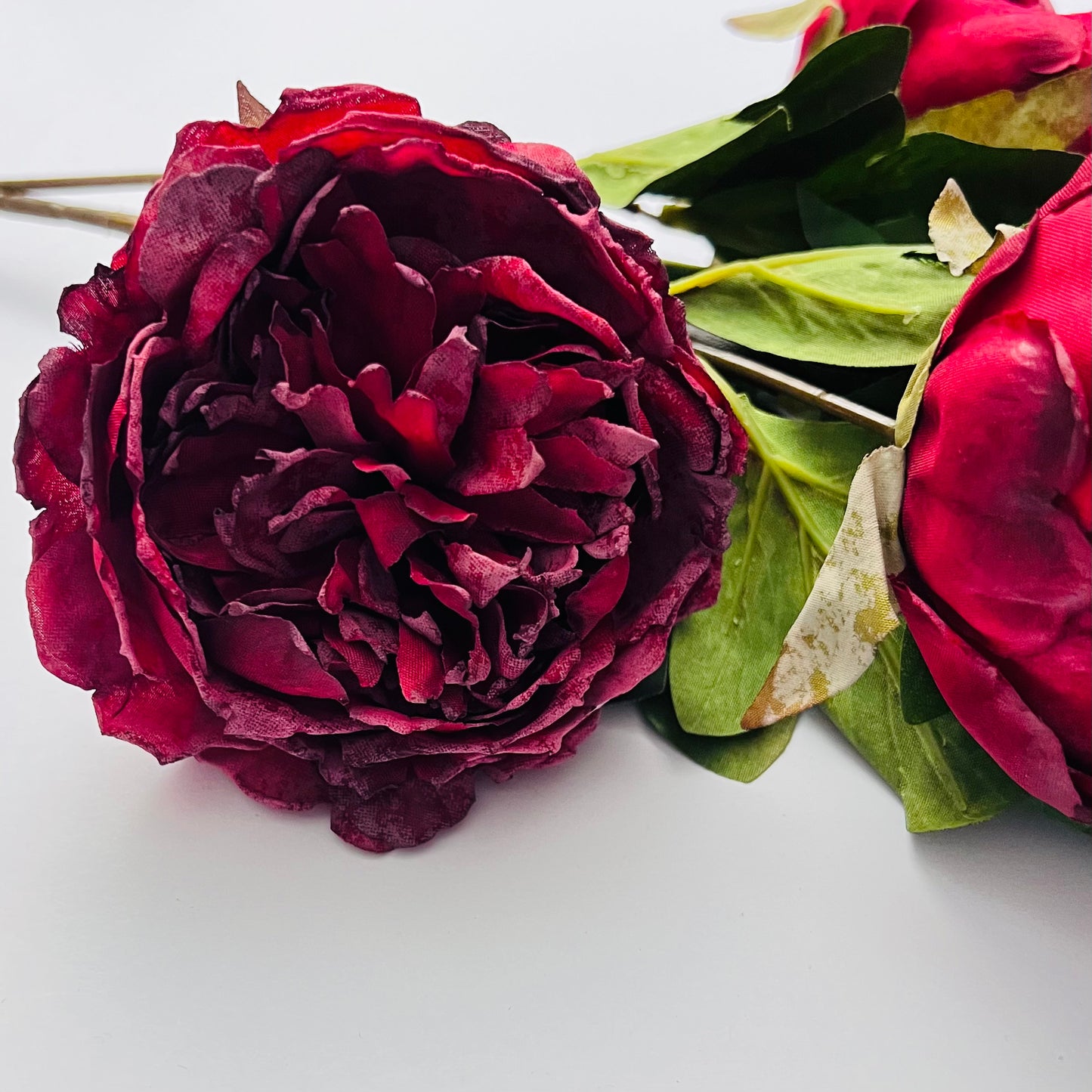 Dried Peony Spray- Deep Red