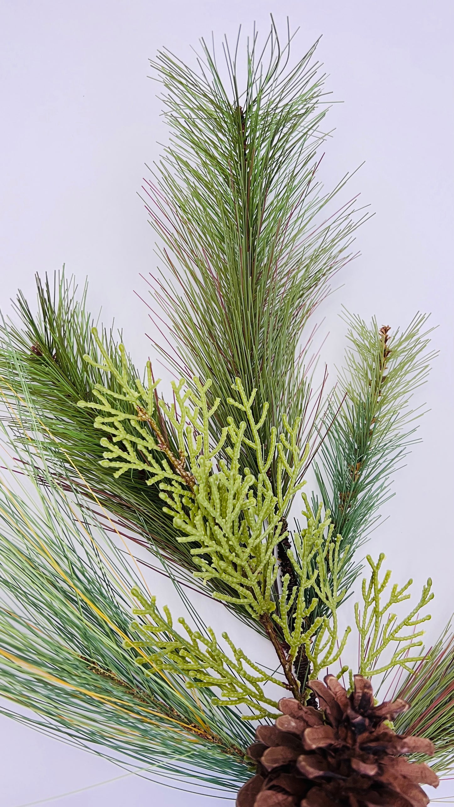 20" Mixed Long Needle Pine Spray