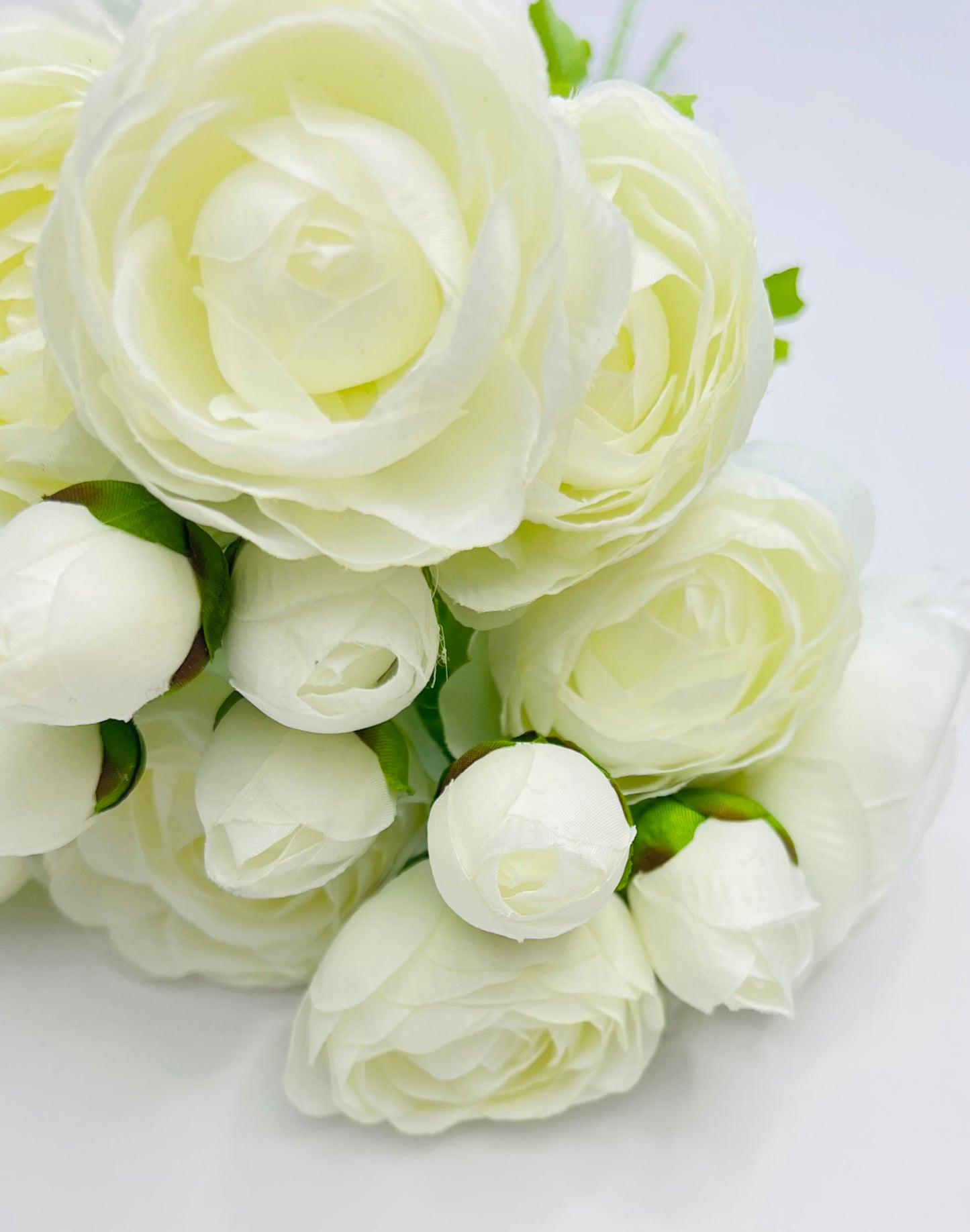 Ranunculus Bundle- White