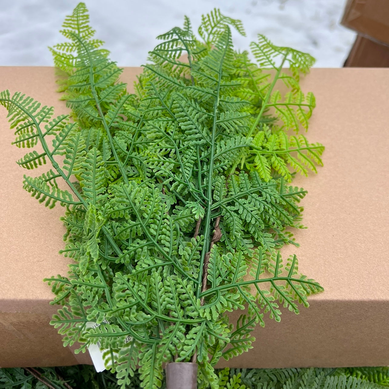 Leather Leaf Fern-Real Touch