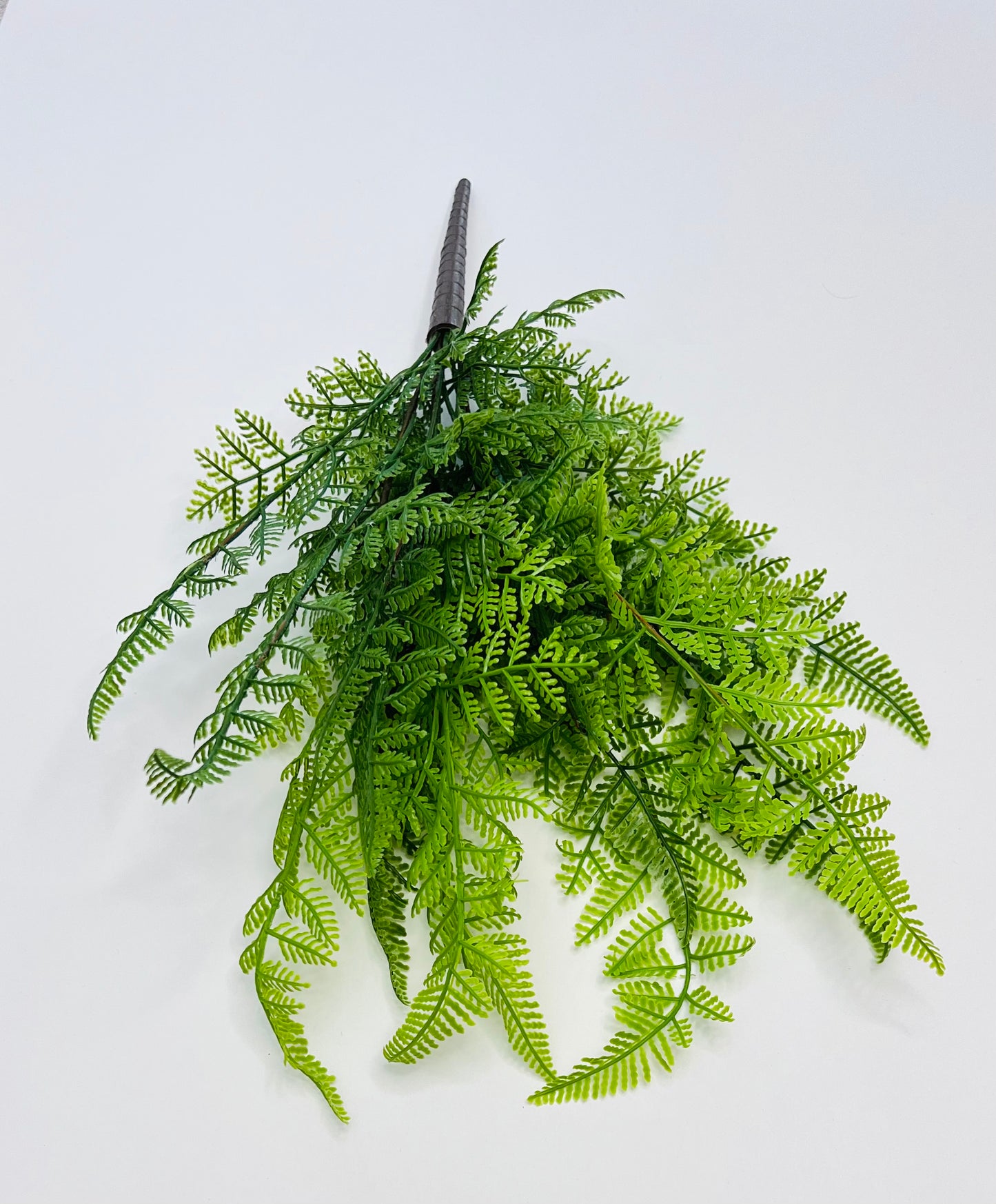 Leather Leaf Fern-Real Touch