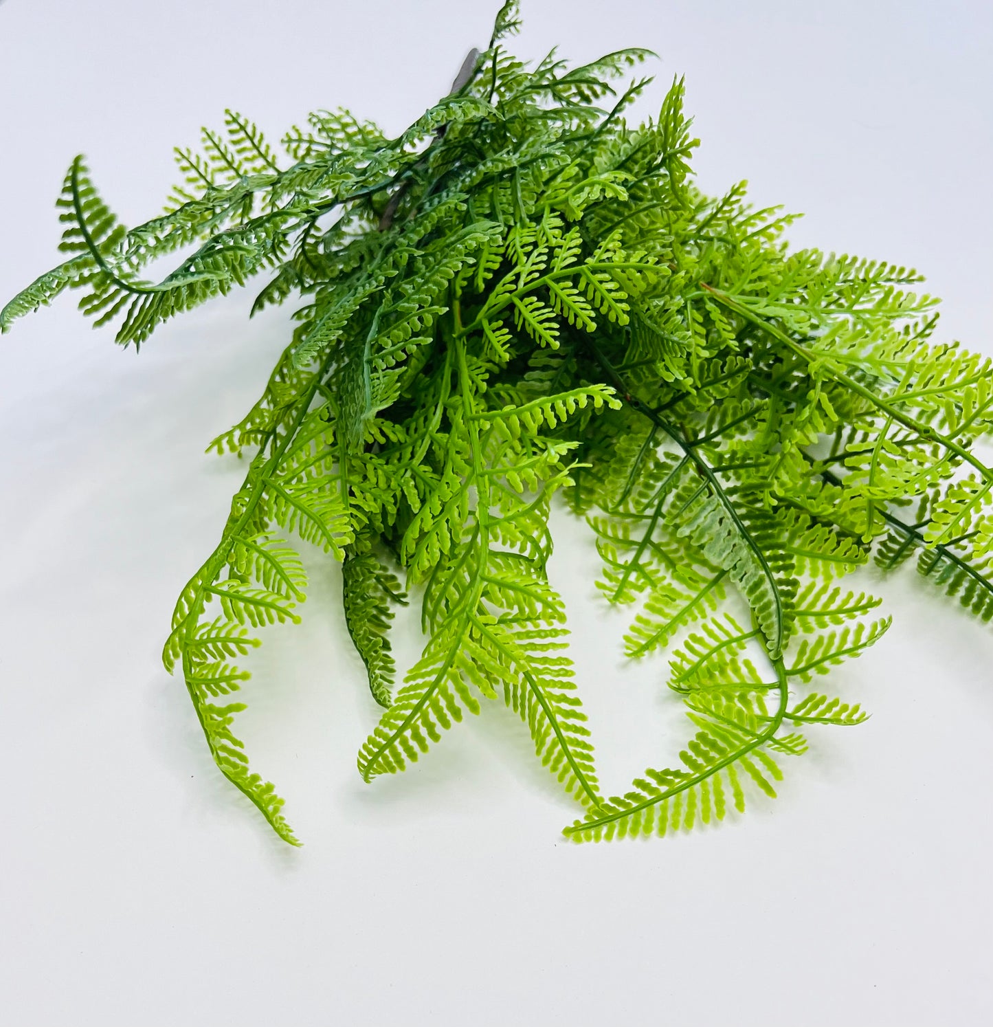 Leather Leaf Fern-Real Touch