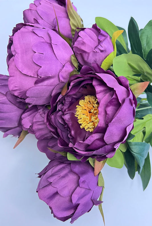 Peony Bush- Purple