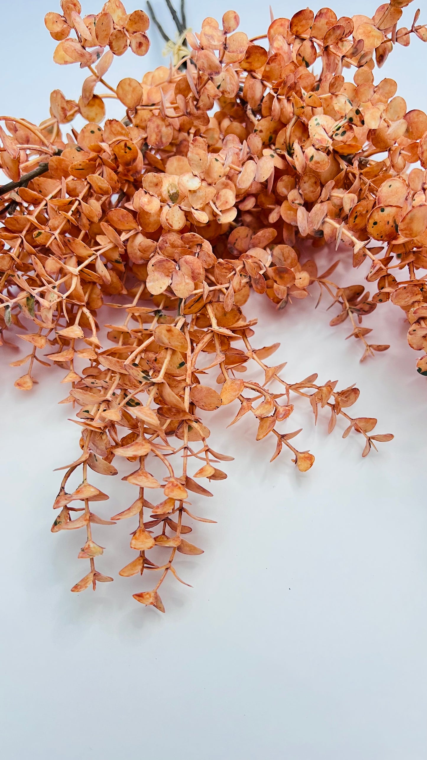 Eucalyptus Leaves Bundle- Orange