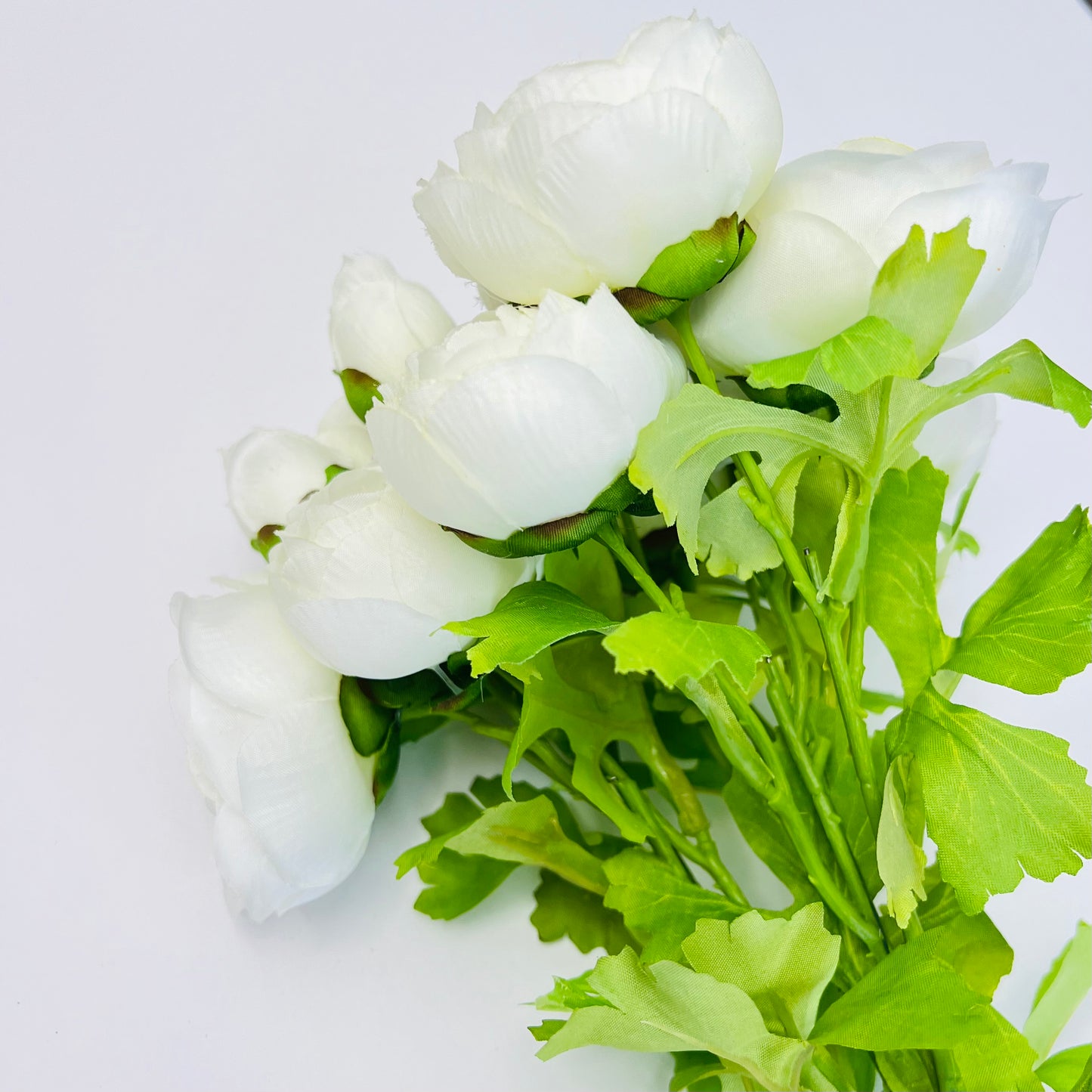 Ranunculus Bundle- White