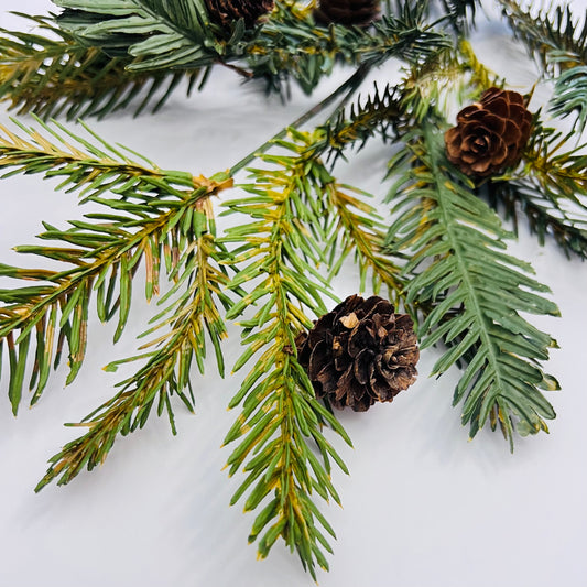 Bald Cypress and Pinecone Spray