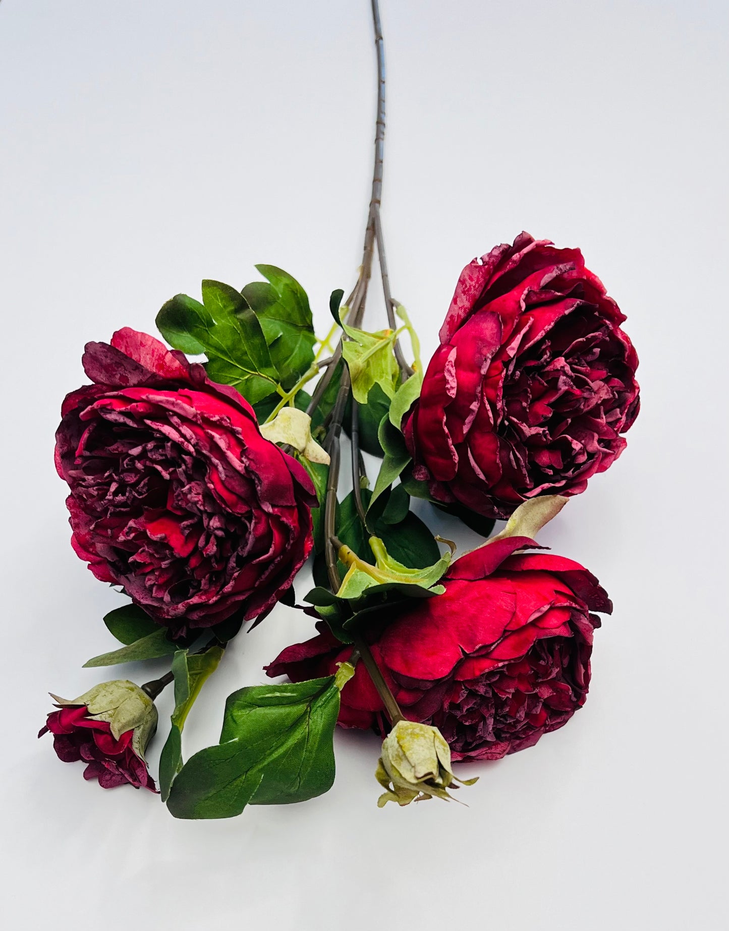 Dried Peony Spray- Deep Red