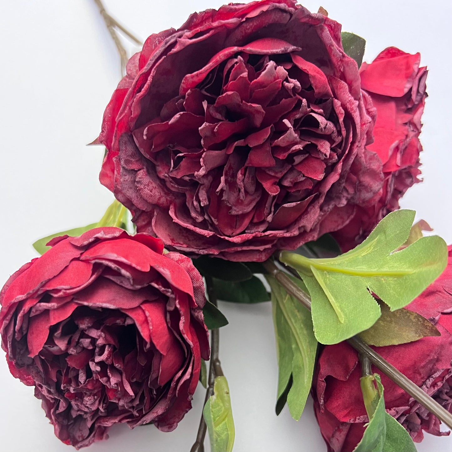 Dried Peony Spray- Deep Red