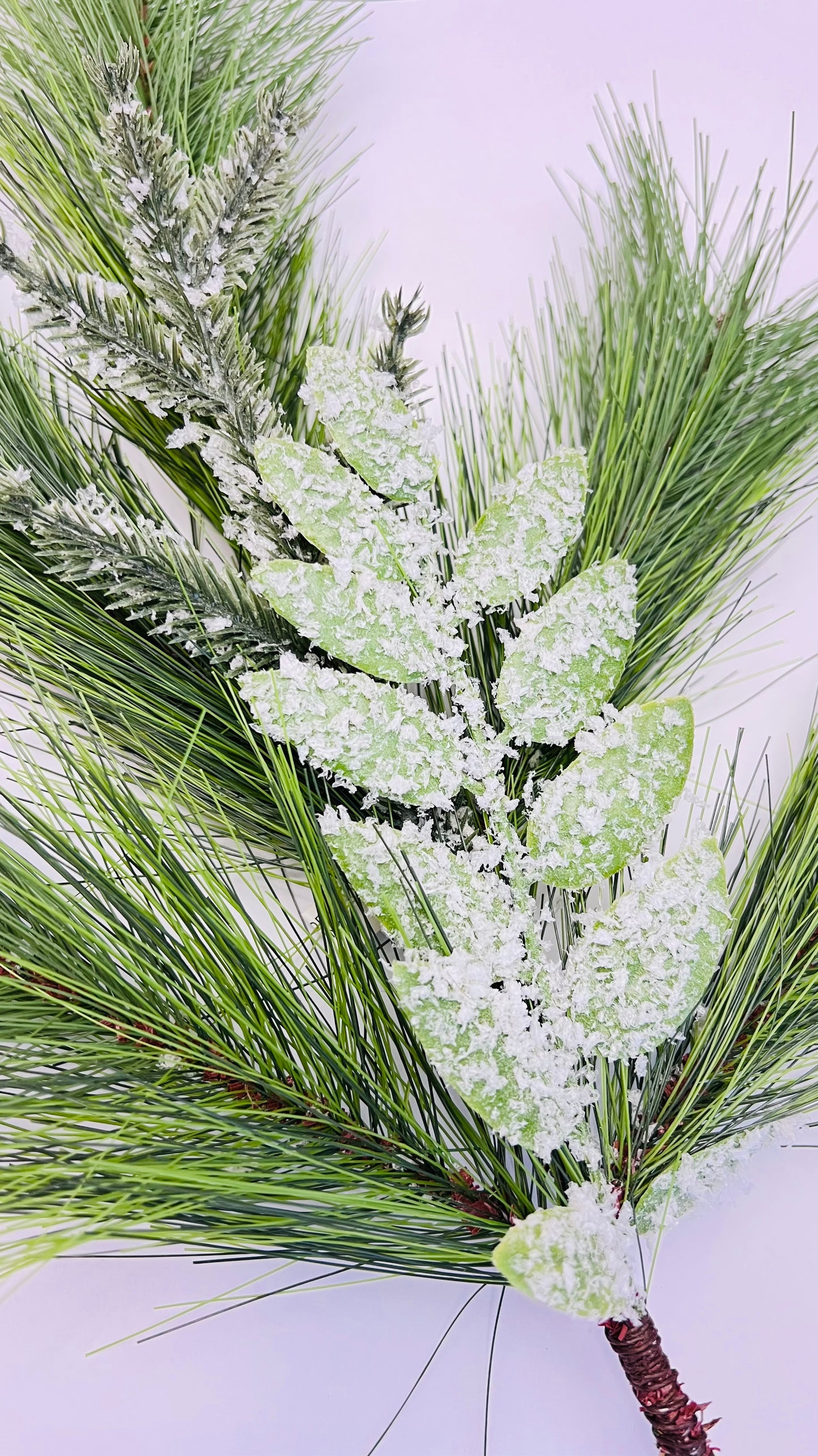 Frosted Leaves Spray