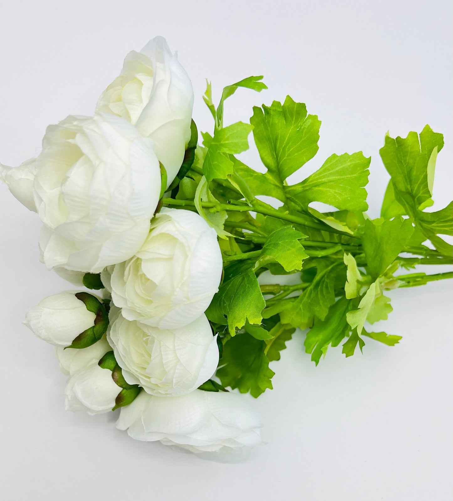 Ranunculus Bundle- White