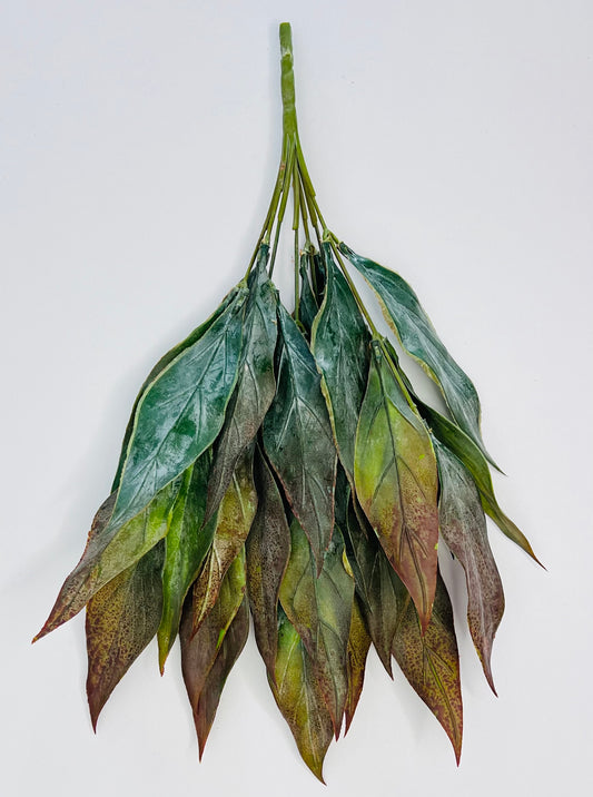 Leaf Bush-Brown Tips