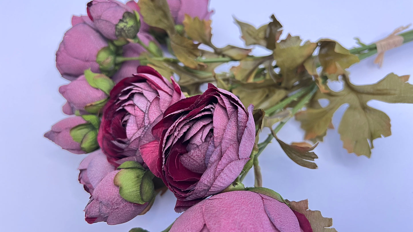 Ranunculus Bundle- Burgundy