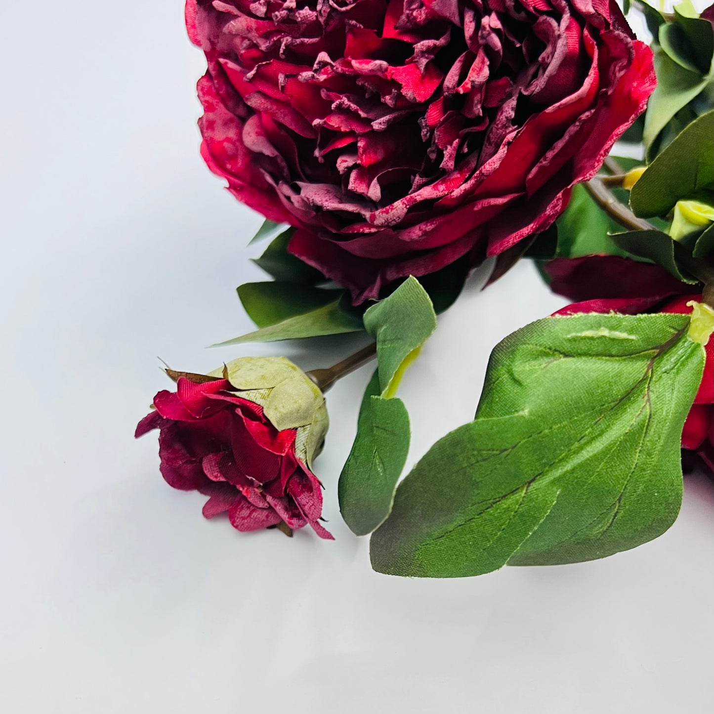 Dried Peony Spray- Deep Red