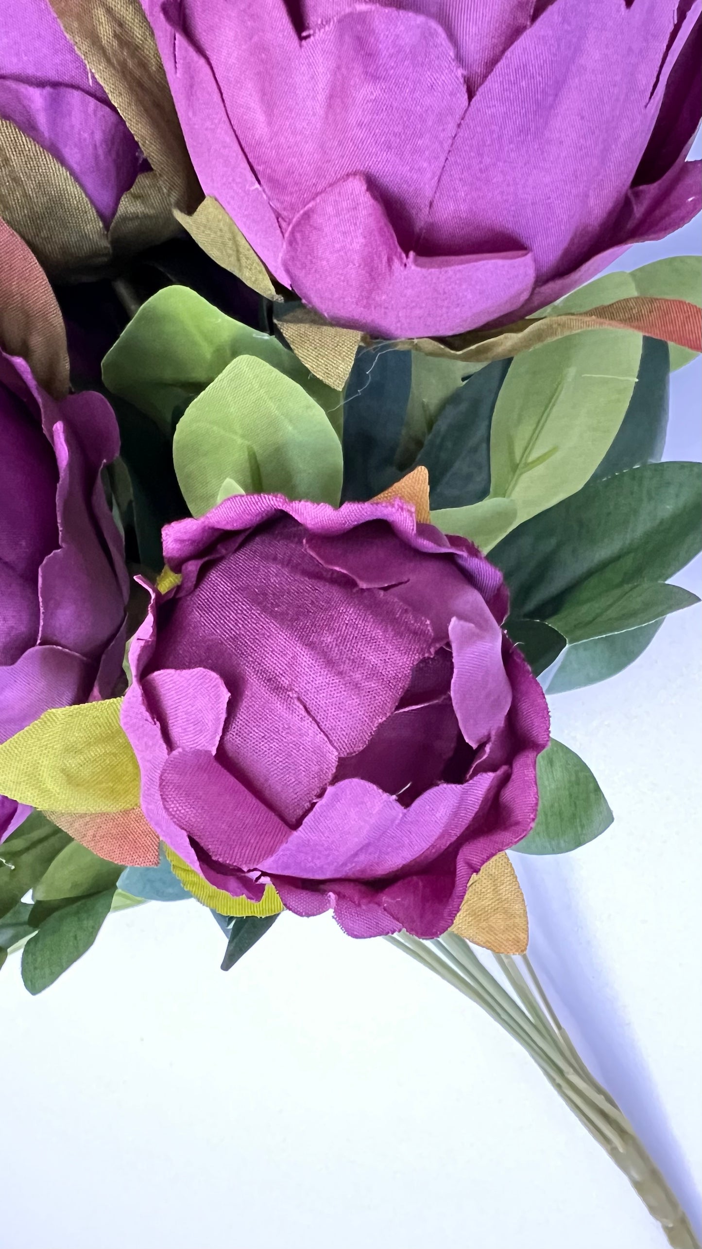 Peony Bush- Purple