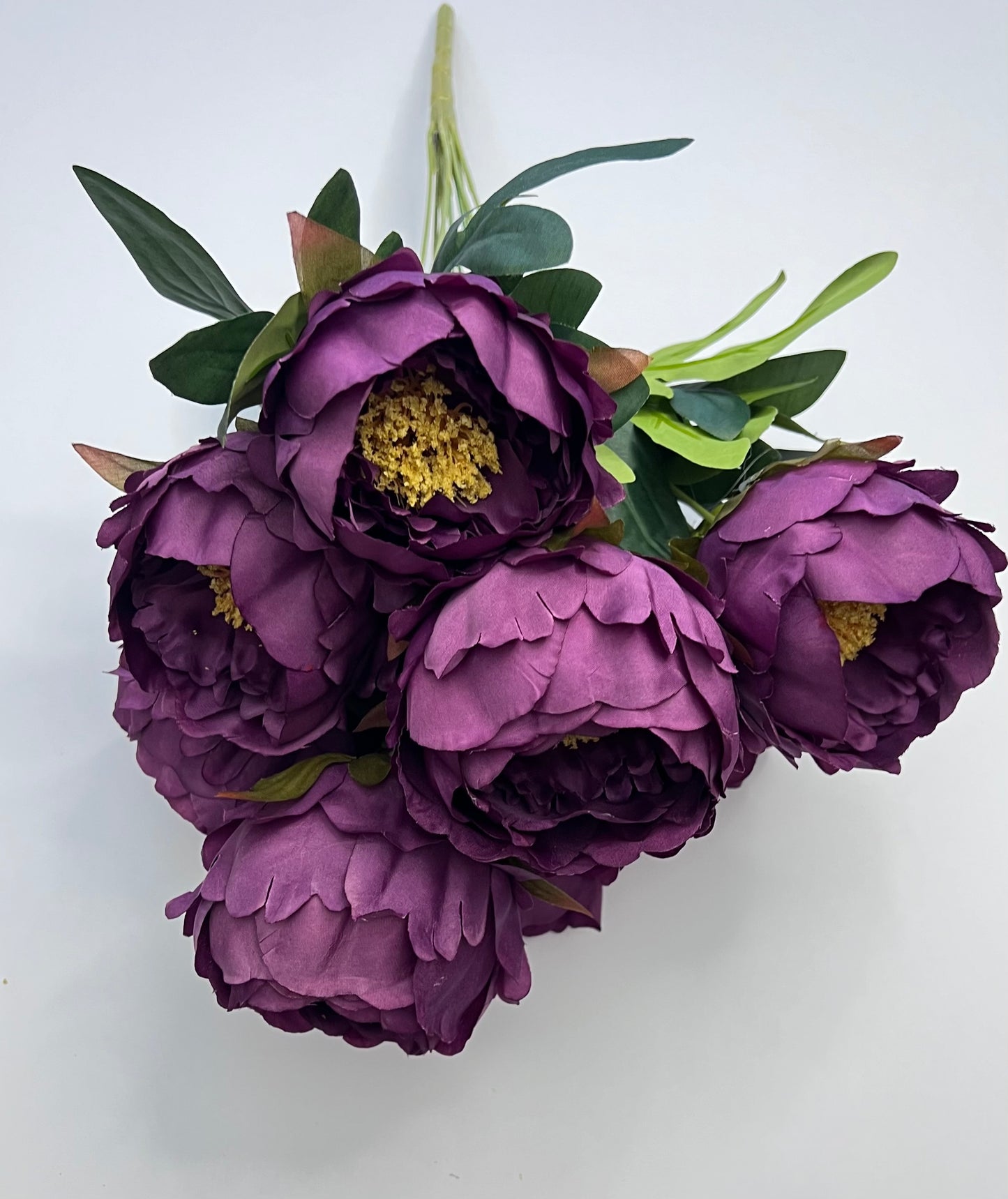 Peony Bush- Purple